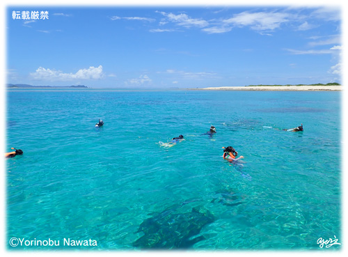 『ボートシュノーケルツアー』転載厳禁・プロ写真家縄田頼信 ボートシュノーケルツアー/写真転載厳禁・プロ写真家なわたよりのぶ