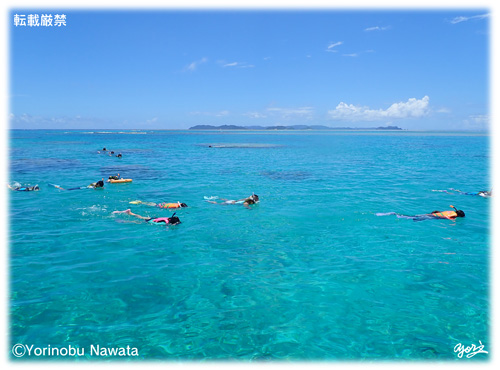 『ボートシュノーケリングツアー』転載厳禁・プロ写真家縄田頼信 ボートシュノーケリングツアー/写真転載厳禁・プロ写真家なわたよりのぶ