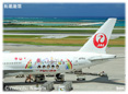 JAL FLY to 2020 特別塗装機 沖縄・ミニ写真