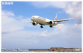 JAL機　着陸態勢ミニ写真