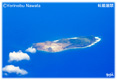 硫黄鳥島・航空写真・ミニ写真