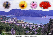 父島二見湾・大村地区