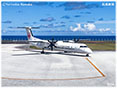 DHC-8-400カーゴコンビミニ写真