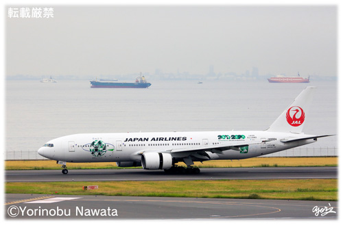 JAL B777-200　空のエコ／写真転載厳禁・プロ写真家なわたよりのぶ
