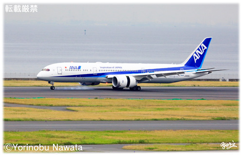 ANA　B787-9 羽田着陸／写真転載厳禁・プロ写真家なわたよりのぶ