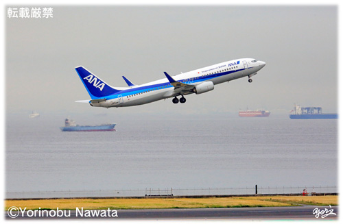 ANA B737-800羽田離陸／写真転載厳禁・プロ写真家なわたよりのぶ