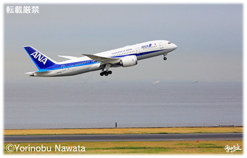 ANA B787-8 羽田離陸／写真転載厳禁・プロ写真家なわたよりのぶ