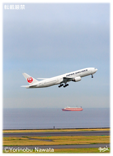 JAL B777-200 羽田離陸／写真転載厳禁・プロ写真家なわたよりのぶ