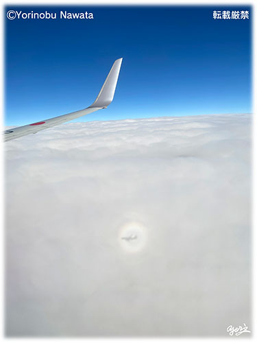 ブロッケン現象・航空機１／写真転載厳禁・プロ写真家なわたよりのぶ