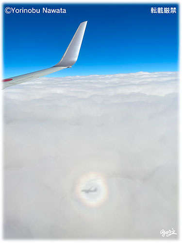 ブロッケン現象・航空機２／写真転載厳禁・プロ写真家なわたよりのぶ