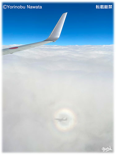 ブロッケン現象・航空機３／写真転載厳禁・プロ写真家なわたよりのぶ