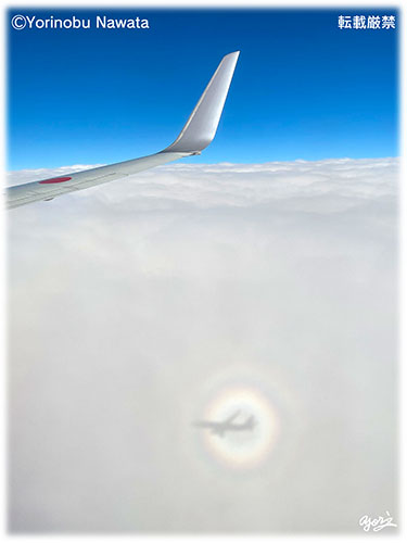 ブロッケン現象・航空機４／写真転載厳禁・プロ写真家なわたよりのぶ