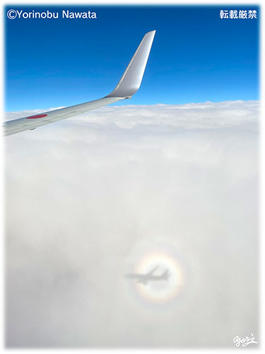 ブロッケン現象・航空機５／写真転載厳禁・プロ写真家なわたよりのぶ
