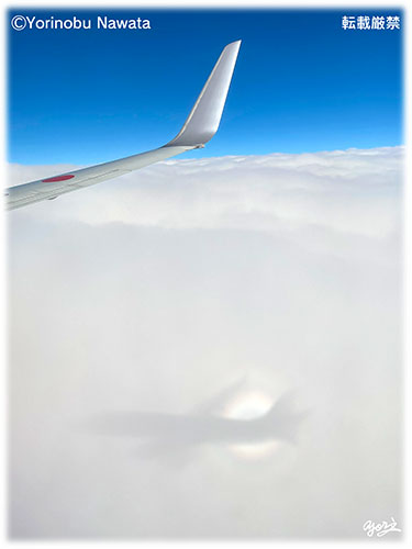 ブロッケン現象・航空機6／写真転載厳禁・プロ写真家なわたよりのぶ