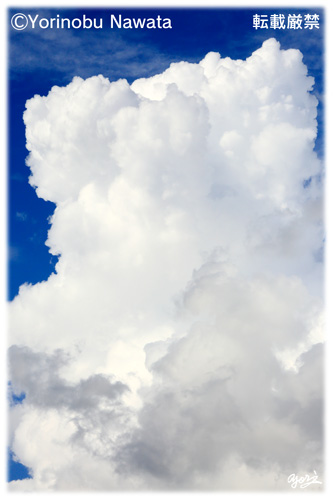 積乱雲成長／写真転載厳禁・プロ写真家なわたよりのぶ
