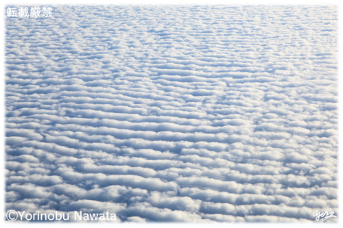 「洗濯板状の雲海（航空写真）」転載厳禁・プロ写真家なわたよりのぶ
