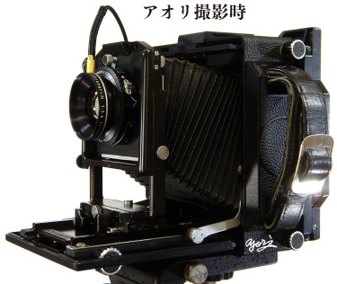 ライズ煽り撮影時大判カメラ見本／転載厳禁・プロ写真家なわたよりのぶ